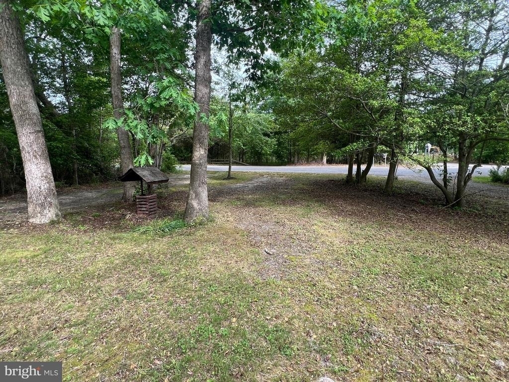 125 Lower Shore Road - Photo 6