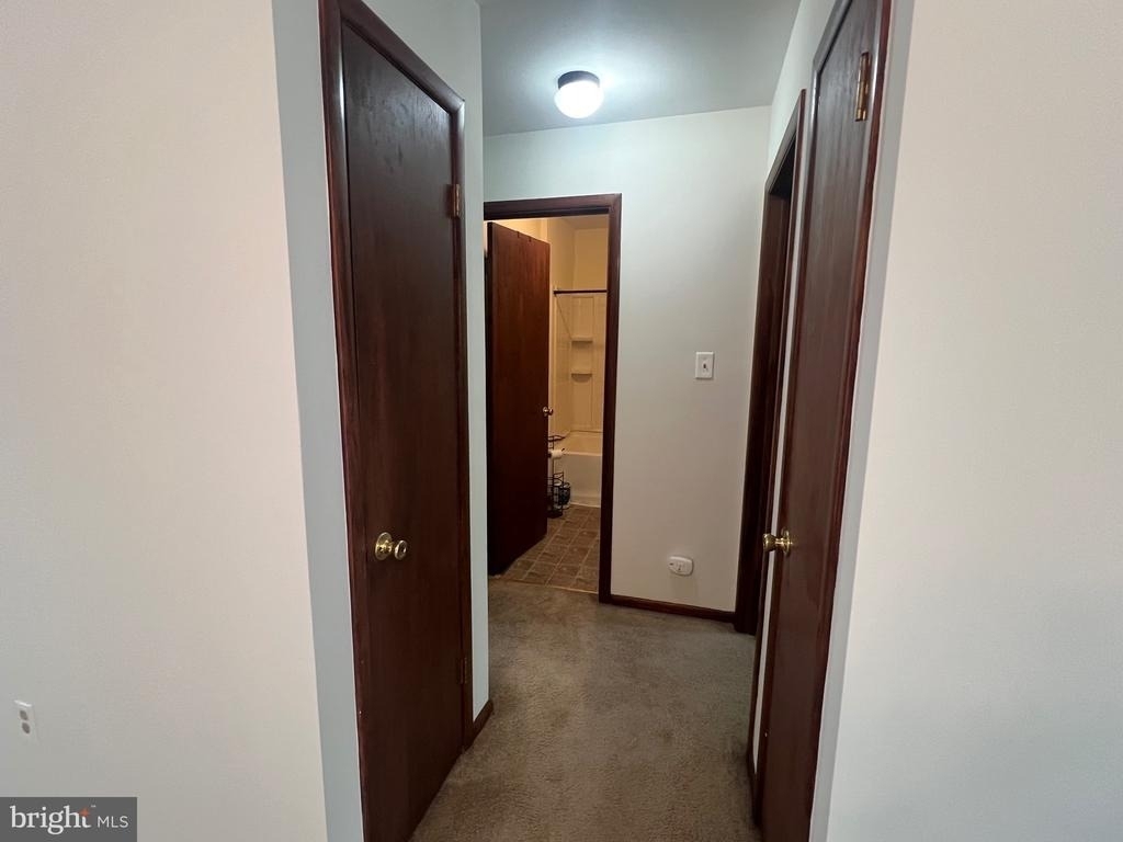 125 Lower Shore Road - Photo 40