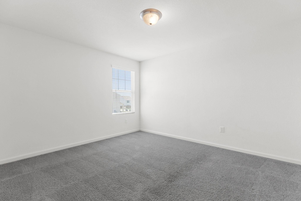409 Line Of Fire Way - Photo 23