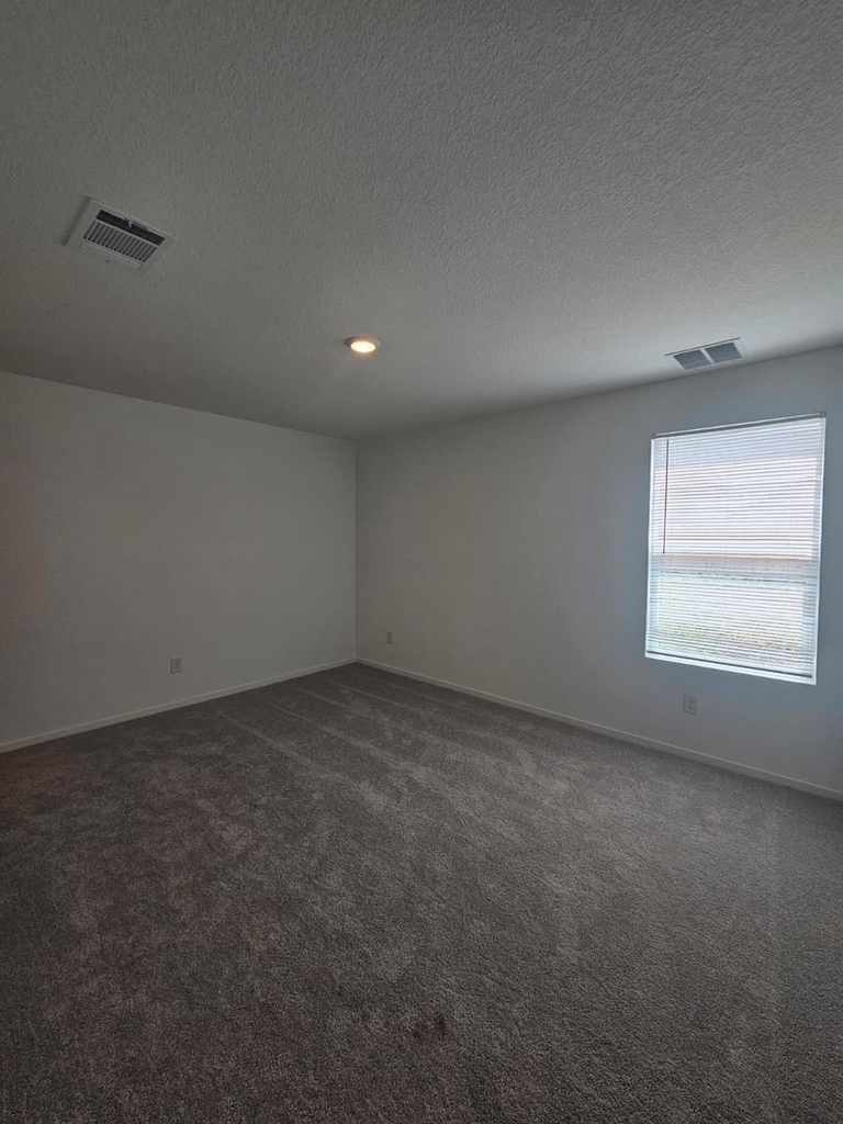 100 Silent Sky Ln - Photo 14