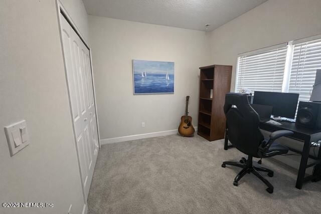 34048 Lavender Parke Drive - Photo 1