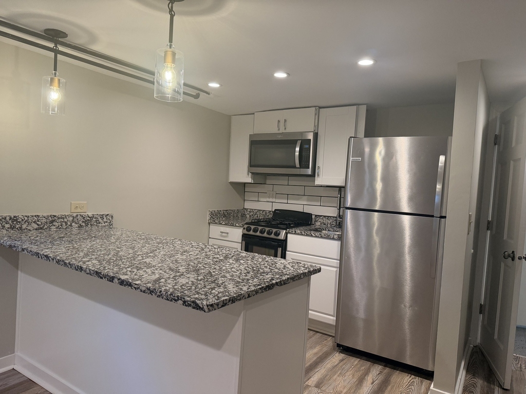 6758 S Karlov Avenue - Photo 3