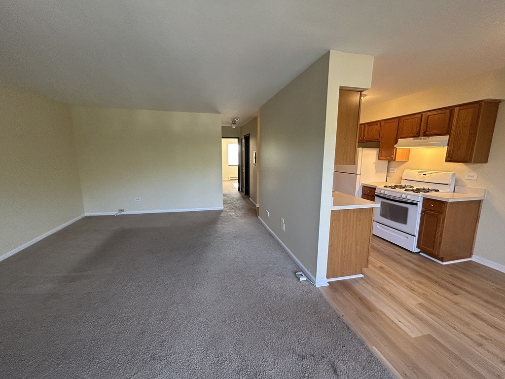 1077 Dickens Way - Photo 3