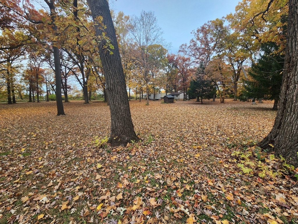 23628 Dupage Country Club Drive - Photo 15