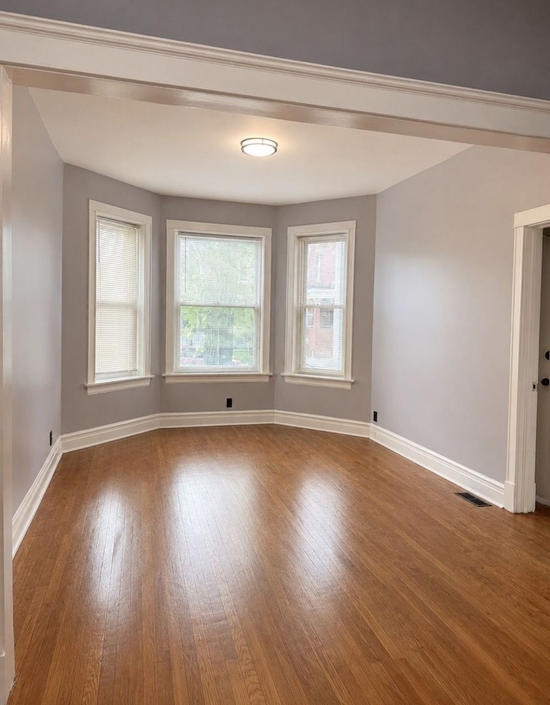 7031 S Laflin Street - Photo 1