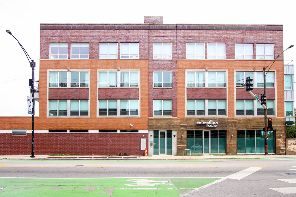 1001 N Milwaukee Avenue - Photo 0