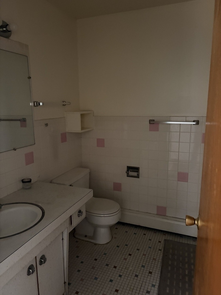 10739 S Pulaski Road - Photo 5