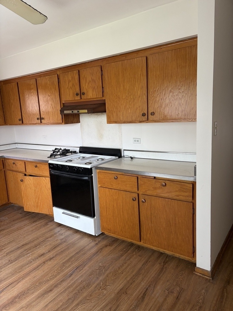 10739 S Pulaski Road - Photo 6