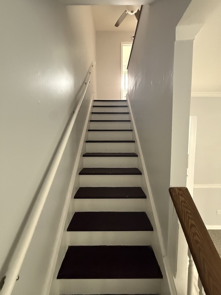 4014 Euclid Lane - Photo 11