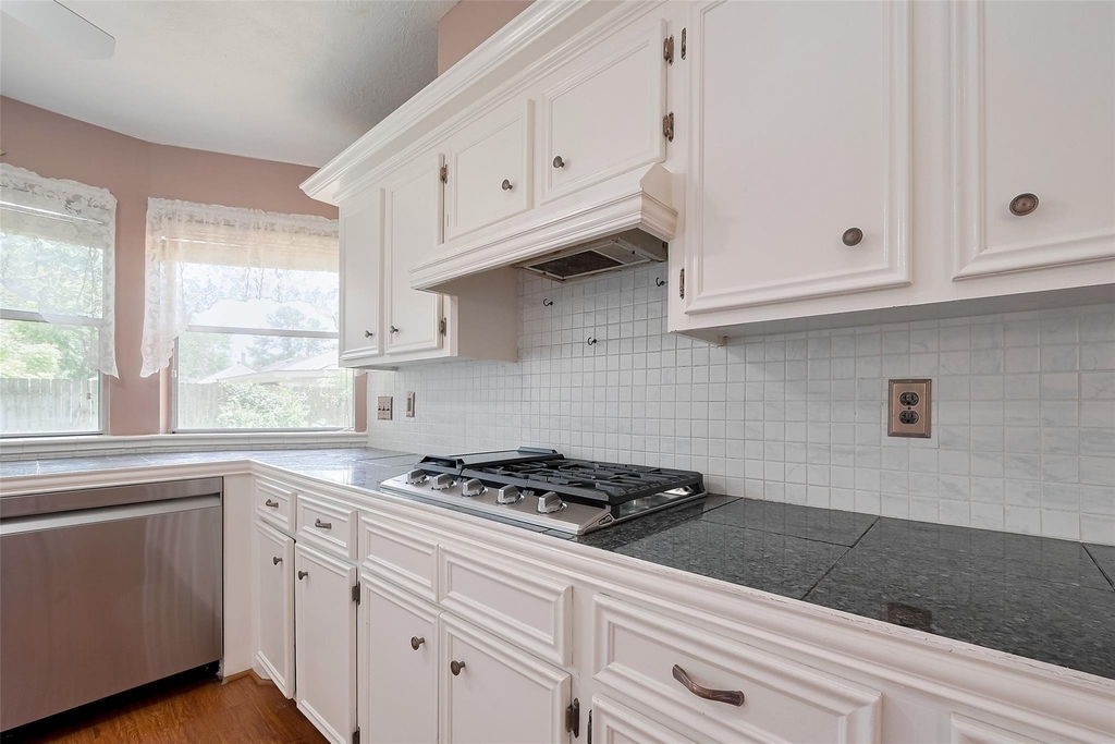 1103 Cheyenne Meadows Drive - Photo 19