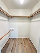 150 Rushwing Place - Photo 17