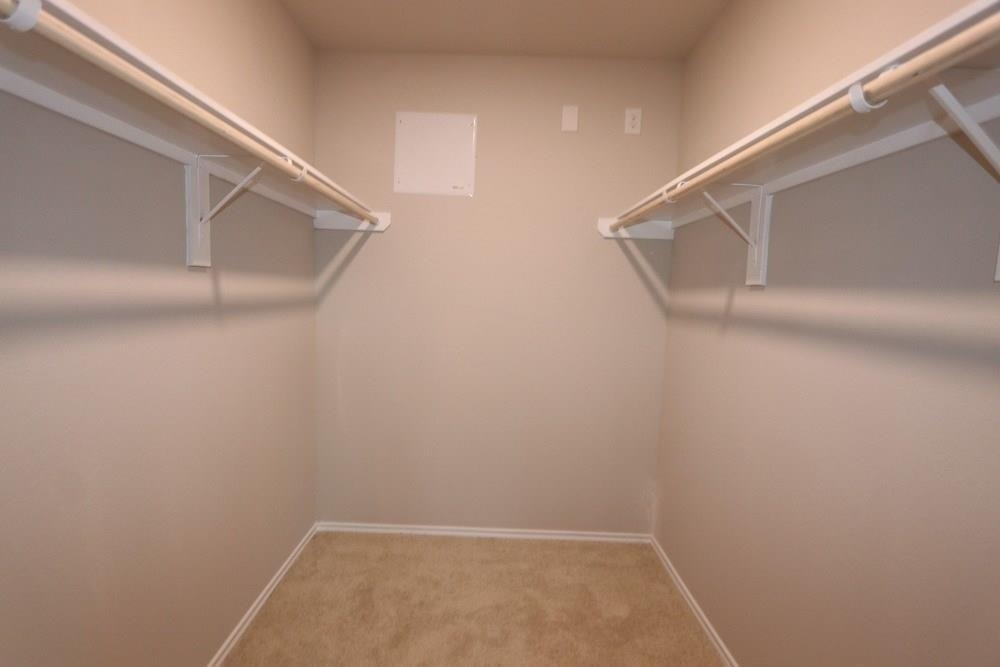 21423 Bluebonnet Cove Court - Photo 13