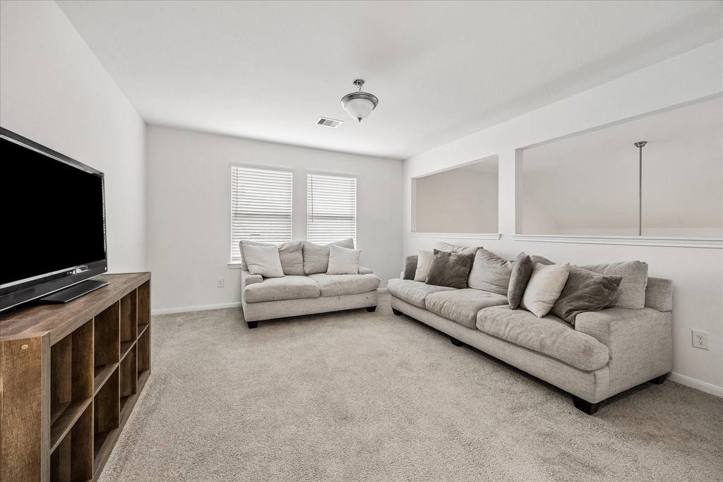 1189 Bluebonnet Trail - Photo 14