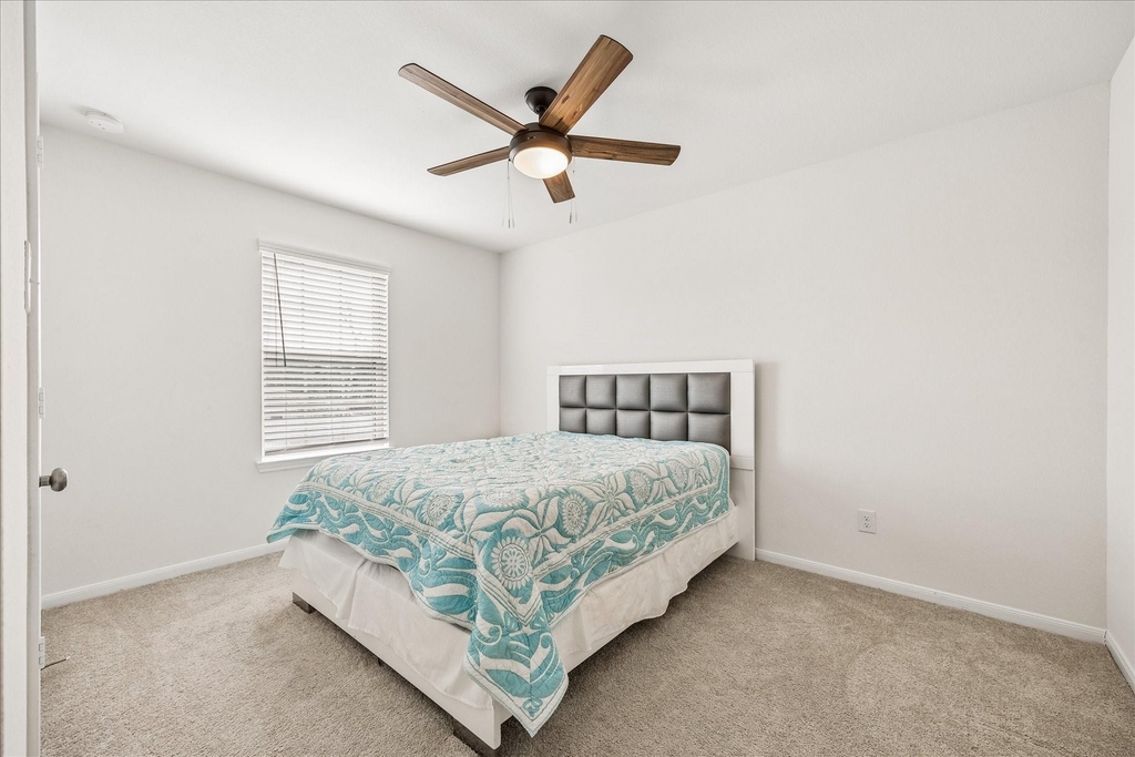 1189 Bluebonnet Trail - Photo 16