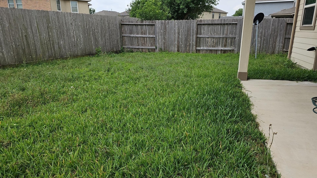 19815 Blushdawn Sierra Court - Photo 6