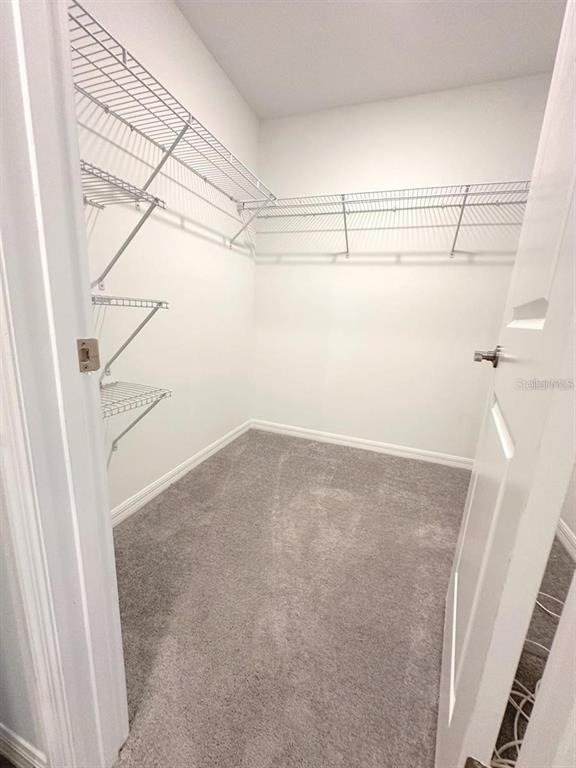 8239 Crescent Oaks Drive - Photo 18