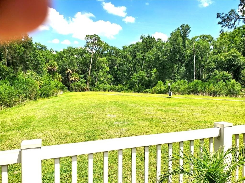 32871 Brooks Hawk Lane - Photo 28