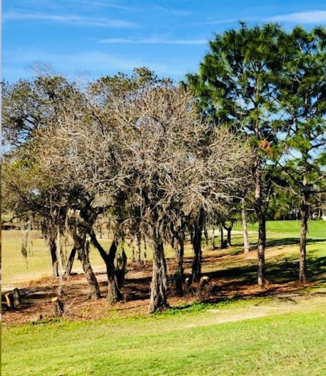 51 Hickory Course Trail - Photo 24