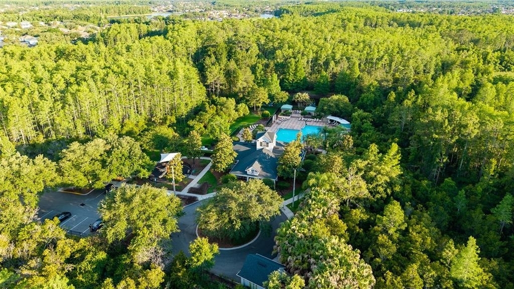15048 Bellinkoff Lane - Photo 43