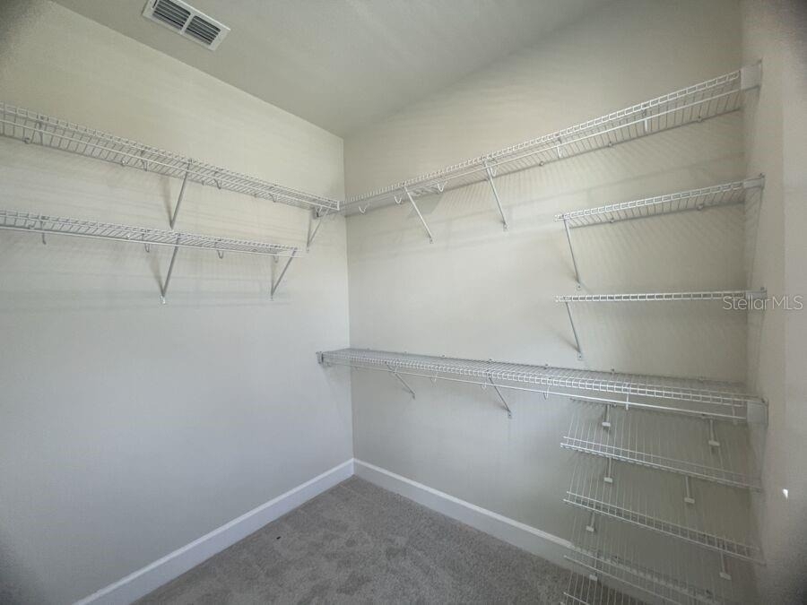 15236 Tribute Ovation Way - Photo 14