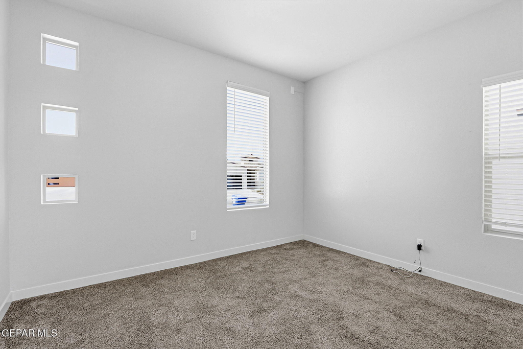12568 Barbaro Way - Photo 16
