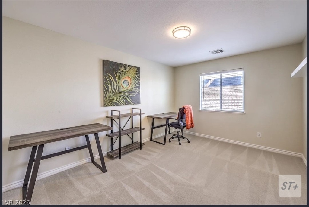 4737 Barcelona Ridge Court - Photo 21