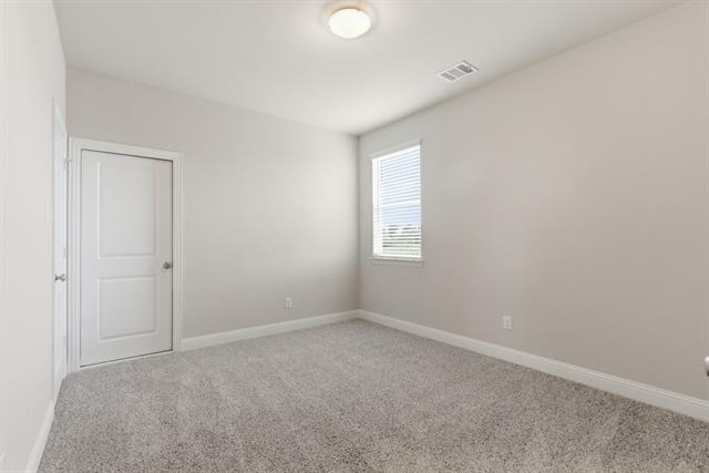 612 Rain Barrel Place - Photo 23