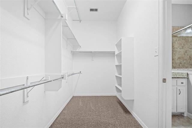 3920 Canton Jade Way - Photo 13