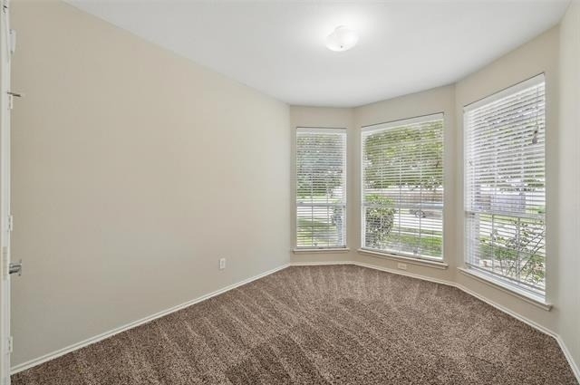 7464 Maroon Drive - Photo 9