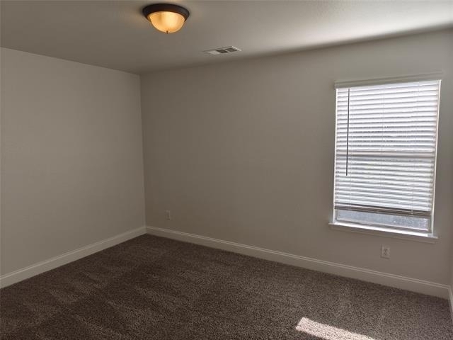 406 Stanley Falls Drive - Photo 26