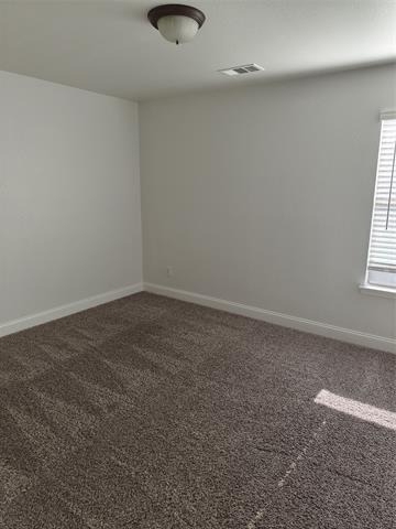 406 Stanley Falls Drive - Photo 24
