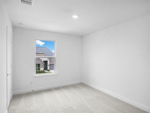 3301 Little Bluestem Road - Photo 18