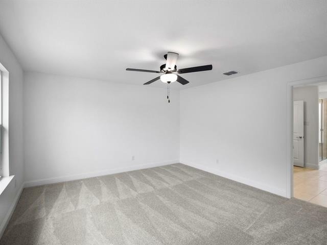 3301 Little Bluestem Road - Photo 11