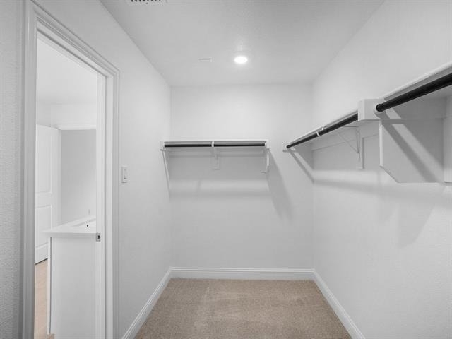 3301 Little Bluestem Road - Photo 17