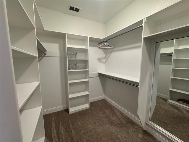 6617 Cedar Elm Drive - Photo 13