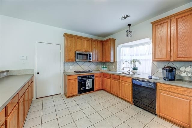 12347 Red Hawk Drive - Photo 13