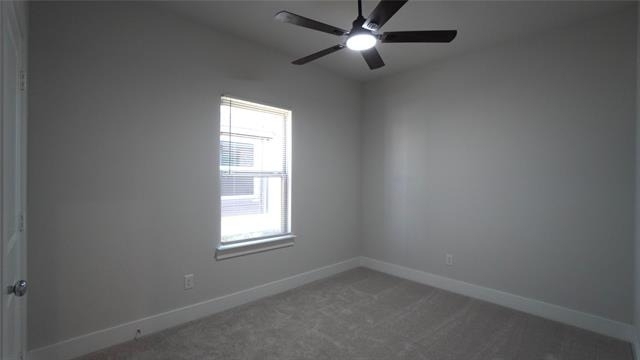 1374 Chisos Way - Photo 20
