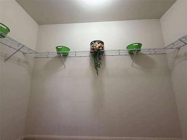 6209 Obsidian Creek Drive - Photo 19