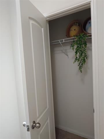 6209 Obsidian Creek Drive - Photo 23