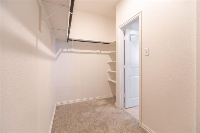 1904 Cinnamon Trail - Photo 18