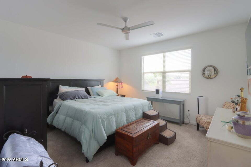 41575 W Saguaro Drive - Photo 9