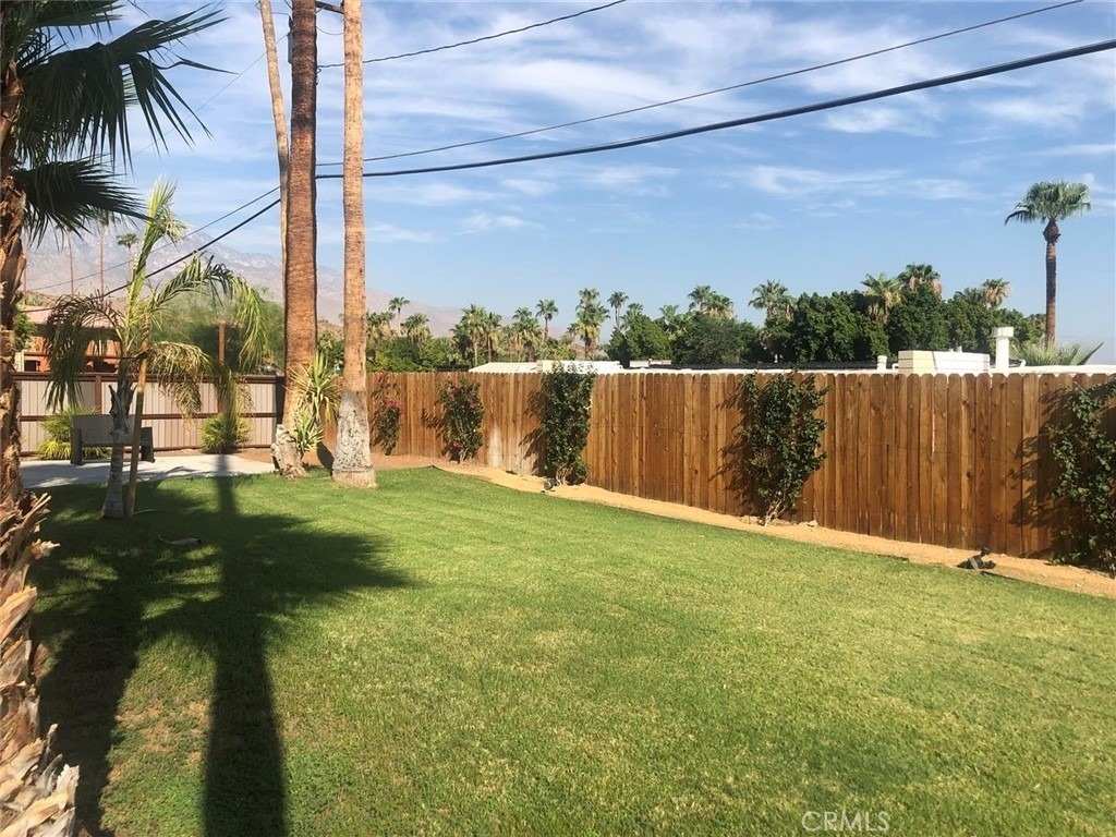 37156 Palo Verde Drive - Photo 6