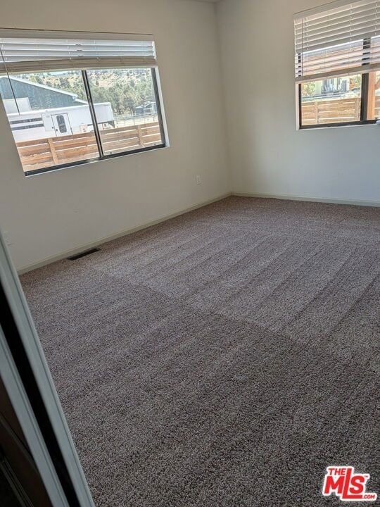 47041 Old Pioneer Town Road - Photo 13