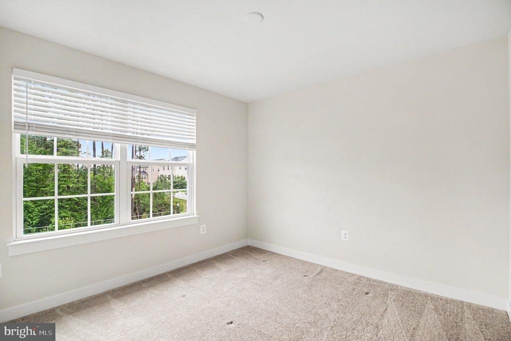 5704 Piney Glade Road - Photo 16