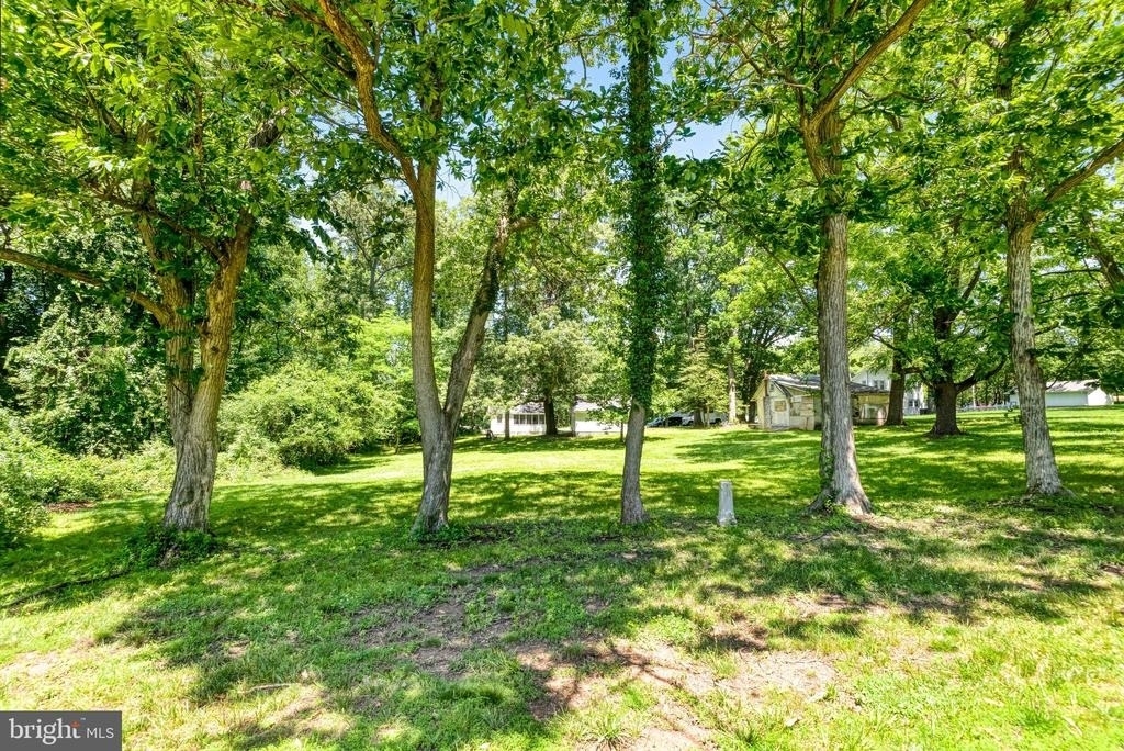 11909 Route 29 - Photo 7