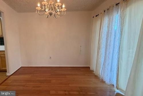 18726 Curry Powder Lane - Photo 4