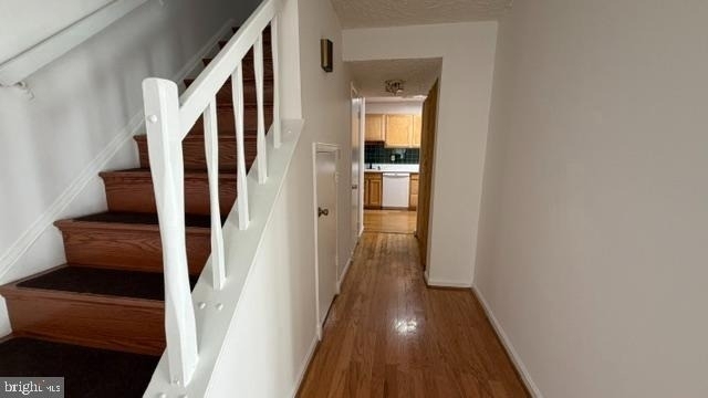 18726 Curry Powder Lane - Photo 5