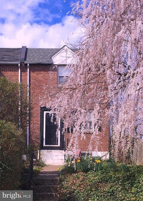 54 Madison Drive - Photo 35