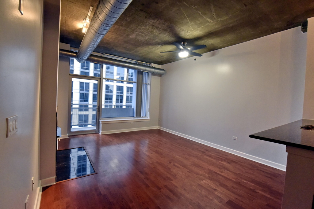 1305 S Michigan Avenue - Photo 1