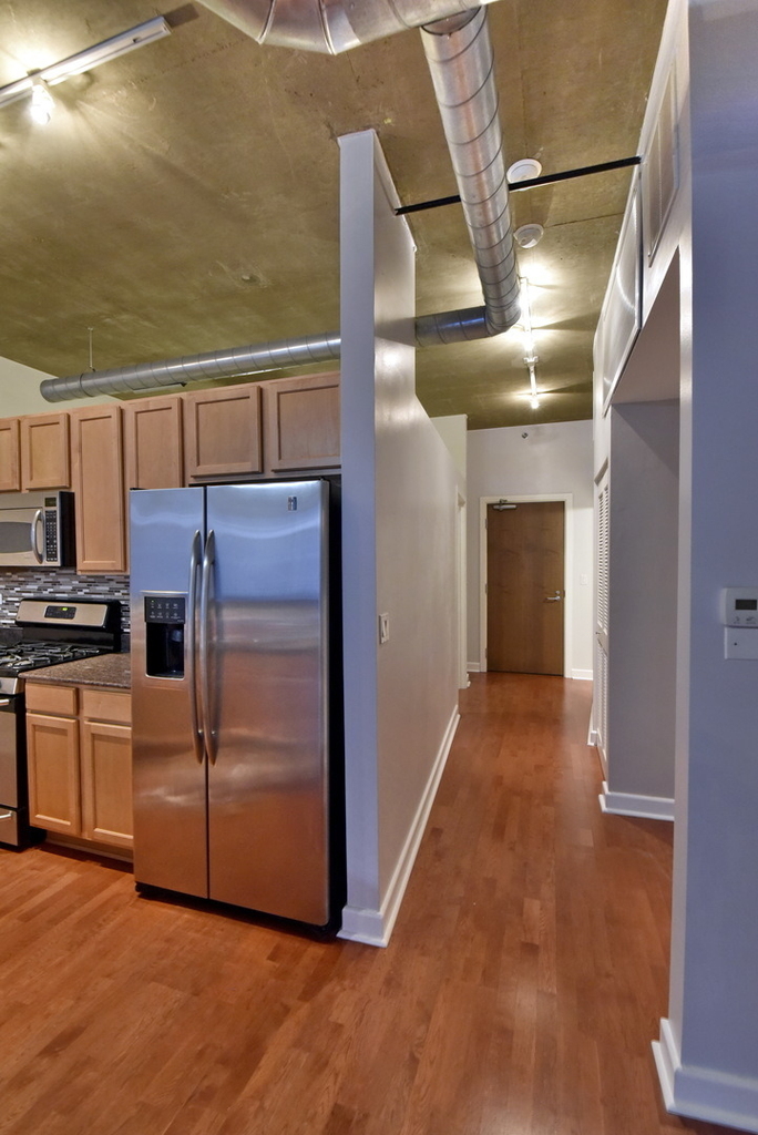 1305 S Michigan Avenue - Photo 2